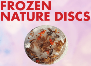 Frozen Nature Discs